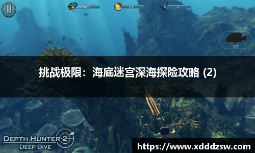JJB竞技宝